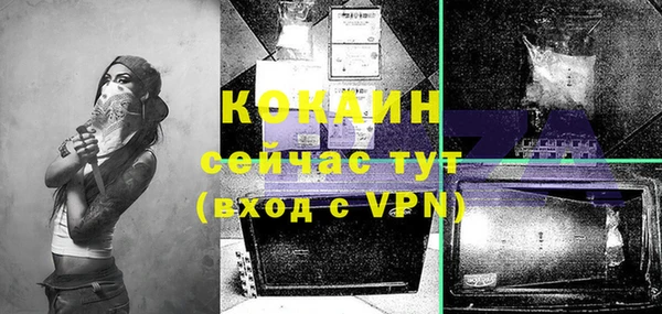 дживик Бронницы