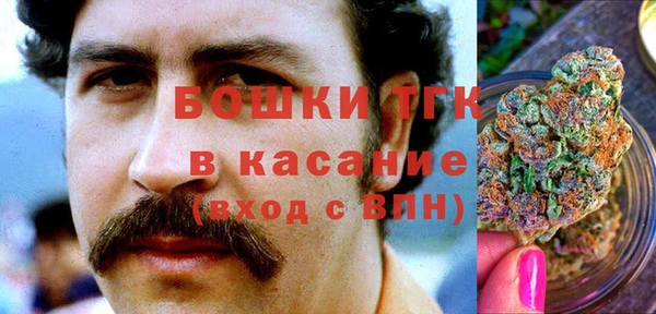 экстази Бородино