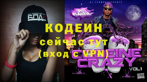 дживик Бронницы