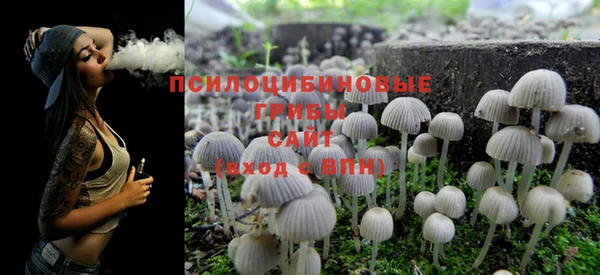 дживик Бронницы